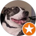 New Homepage - Frontpage 25 Belky S. Avatar